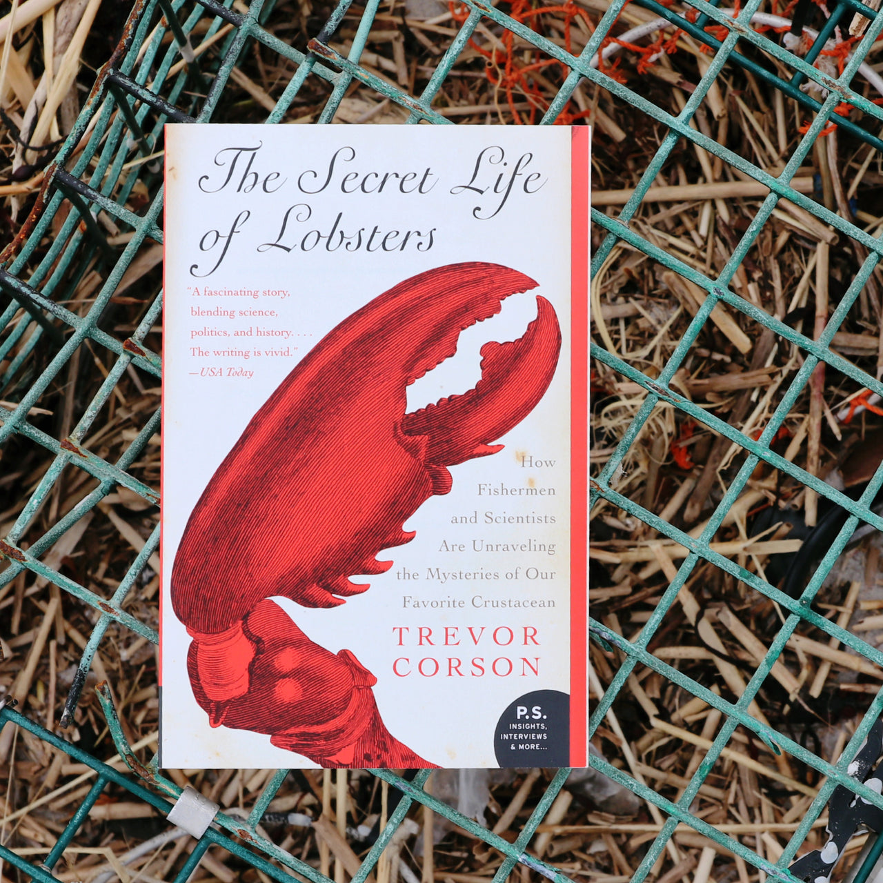 Secret Life of Lobsters