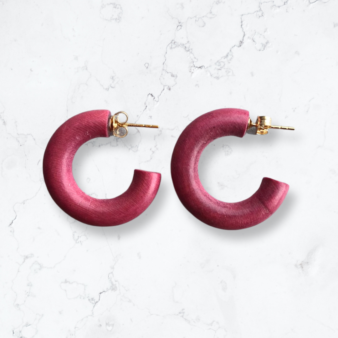 Earrings | Mini Hoop Pinto