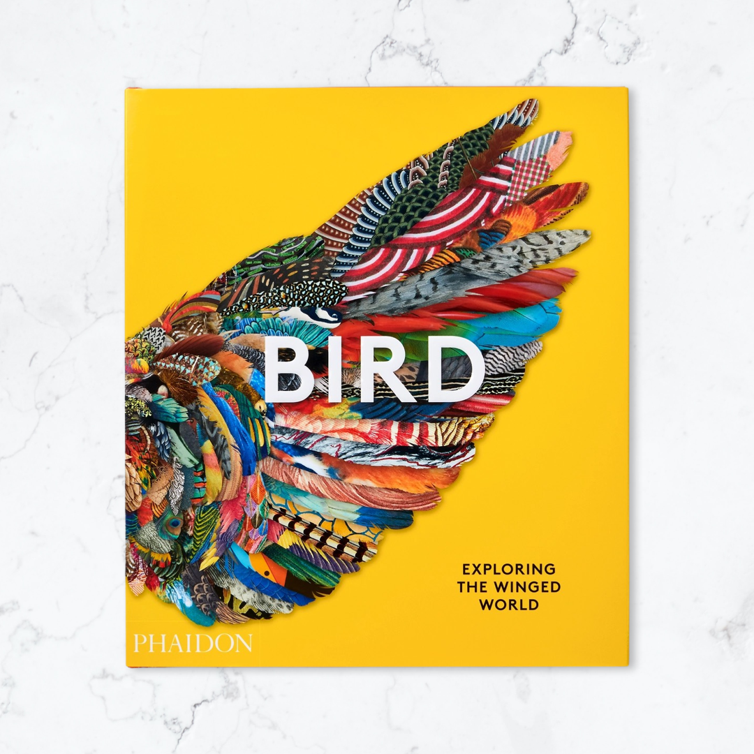 Bird: Exploring the Winged World